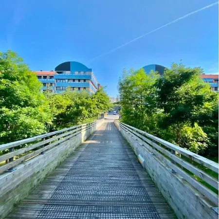 San Martin Barria Bermeo